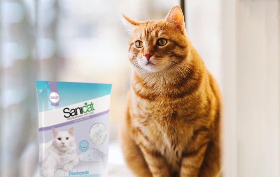 Sanicat diamond cat litter top