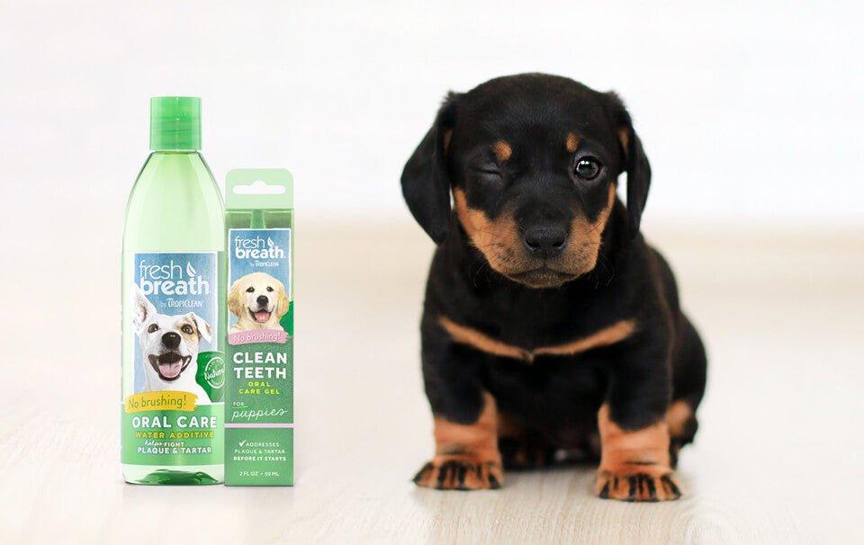 New Tropiclean products at All Pet Solutions AllPetSolutions