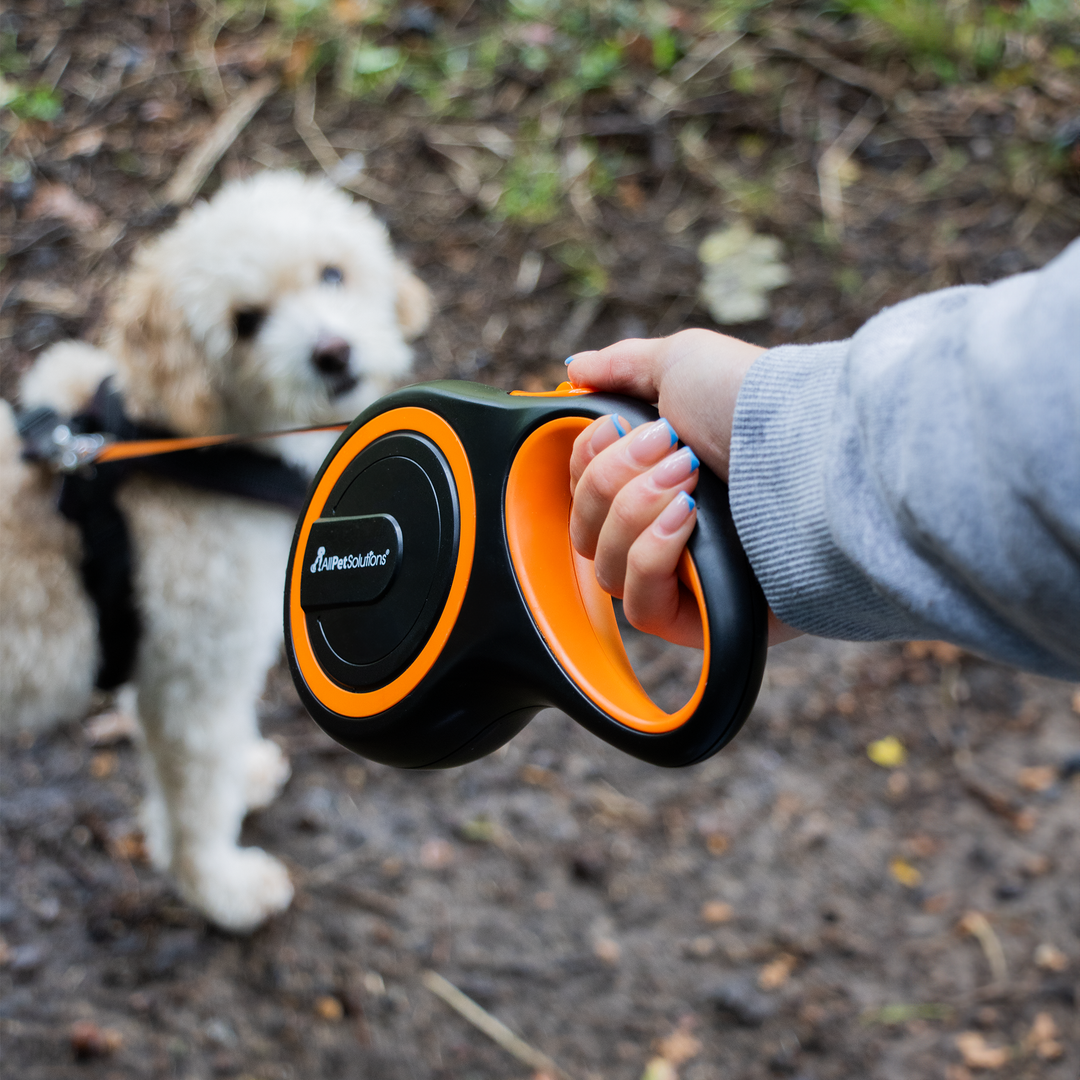 Retractable Dog Lead - Orange 3M / 5M / 8M - 15-50KG