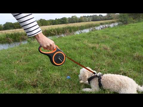 Retractable Dog Lead - Orange 3M / 5M / 8M - 15-50KG