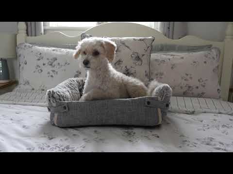 Alfie Multi-way Sofa Dog Bed S/L