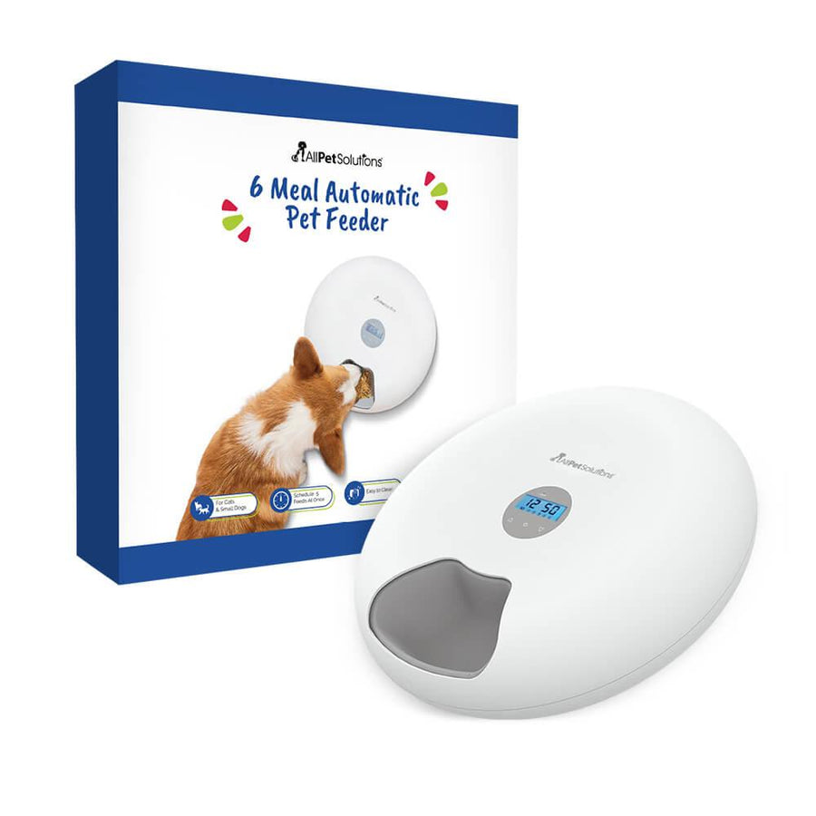 6 Meal Automatic Pet Feeder with LED Timed Settings - AllPetSolutions