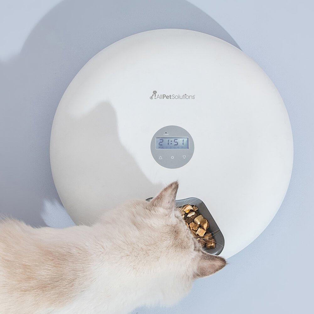 6 Meal Automatic Pet Feeder with LED Timed Settings - AllPetSolutions