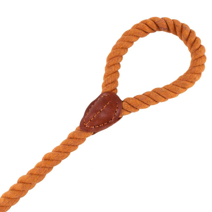 AllPetSolutions Cotton Rope Dog Lead, Brown, 120cm - All Pet Solutions