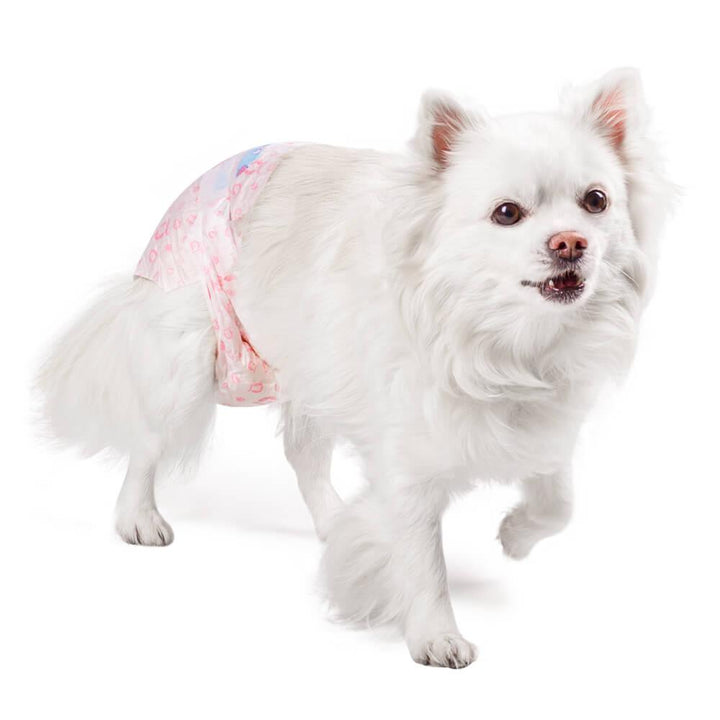 AllPetSolutions Disposable Female Dog Nappies XXS - XL - All Pet Solutions