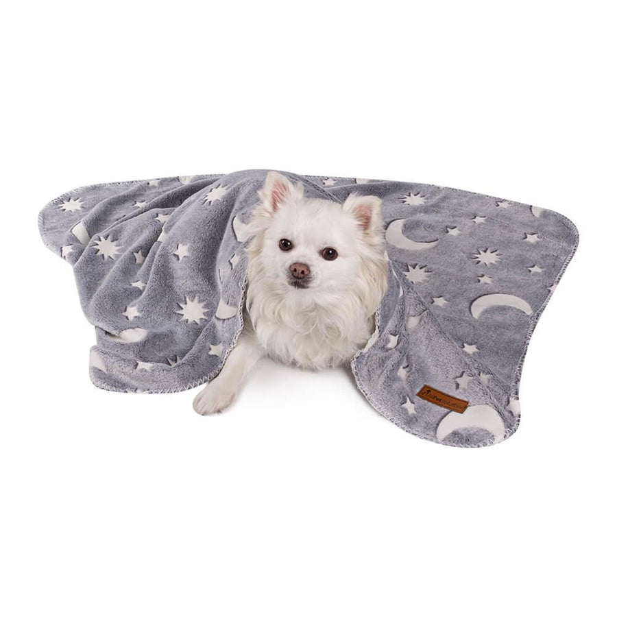 AllPetSolutions Glow in The Dark Fleece Cat & Dog Blanket, Grey - All Pet Solutions