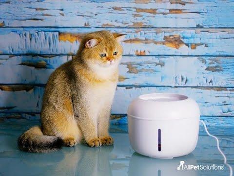 AllPetSolutions Pet Cat / Dog Water Drinking Fountain 2.5L - All Pet Solutions