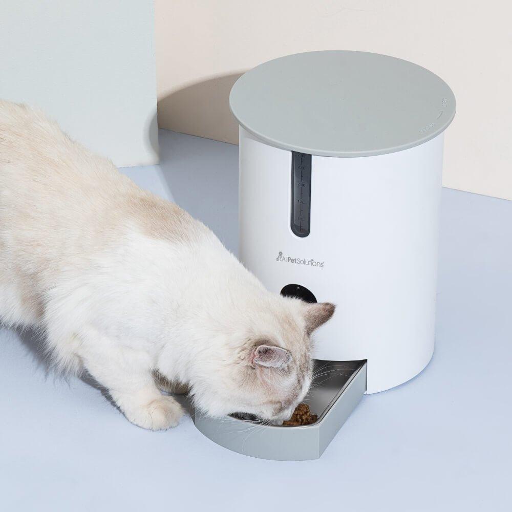 Automatic Pet Feeder LED & Voice Recording 2.8L - All Pet Solutions