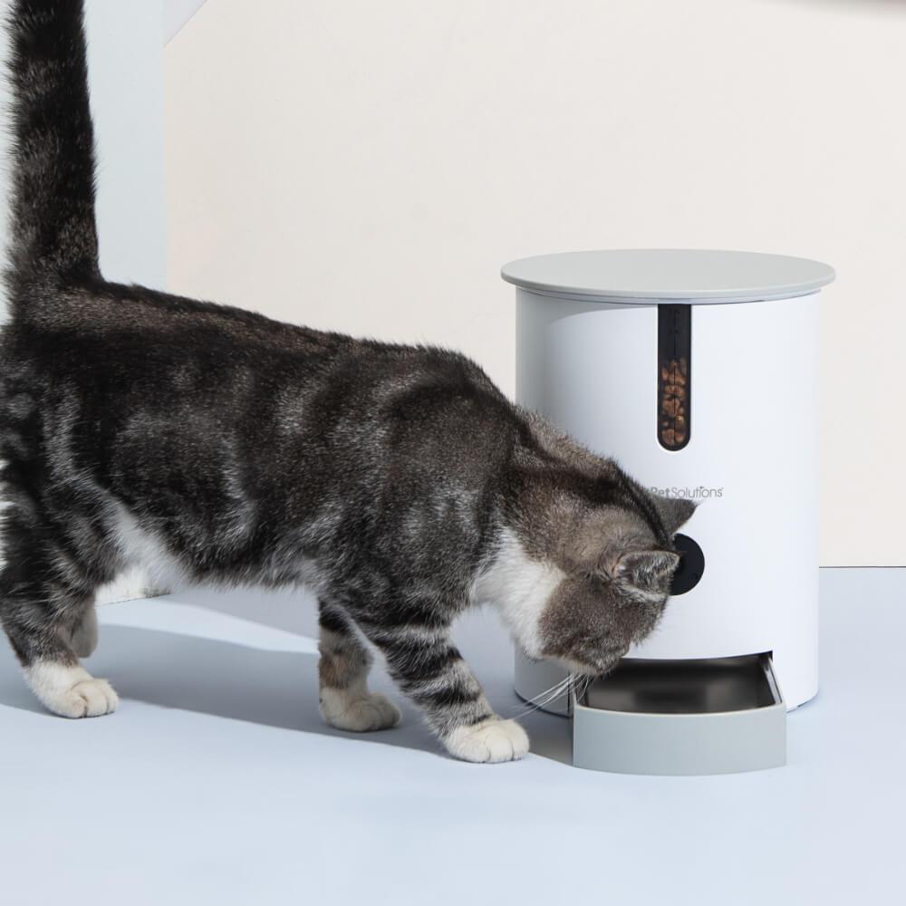Automatic Pet Feeder LED & Voice Recording 2.8L - All Pet Solutions