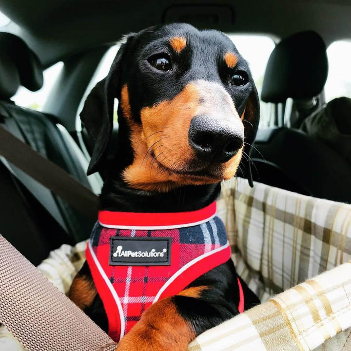 Dog Harness with Reflective Strip in Red Tartan S/M/L/XL - All Pet Solutions