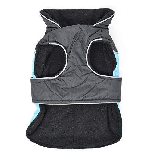Dog Waterproof Warm Jacket - Blue -S/M/L - All Pet Solutions