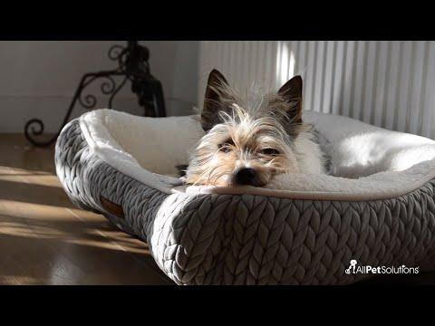 Fauna® Luxury Retractable Tape Dog Lead - Grey 5M - 50KG - All Pet Solutions