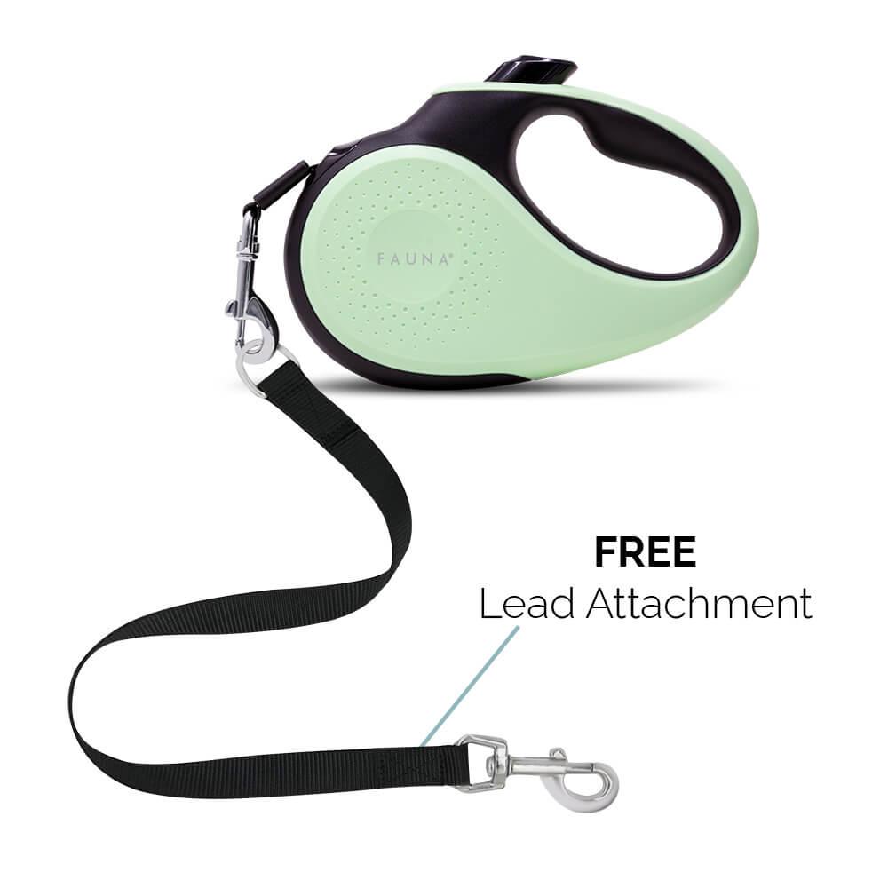 Fauna® Luxury Retractable Tape Dog Lead - Mint Green 5M - 50KG - All Pet Solutions