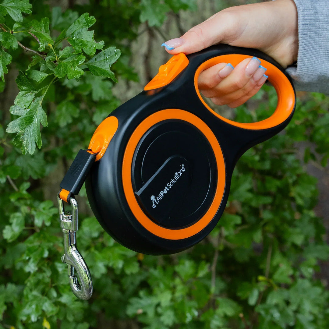 A retractable tape dog lead, one of the lead types compared in this guide