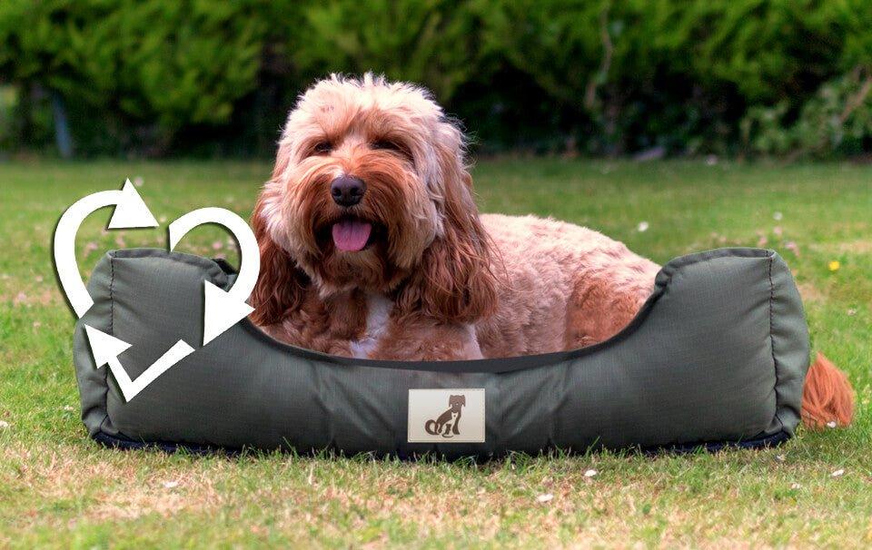 Environmentally Friendly Dog Beds at All Pet Solutions - AllPetSolutions