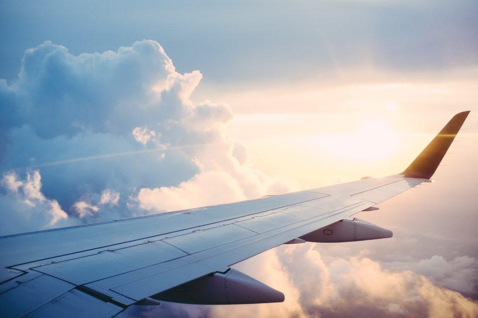 Flying With a Dog in Cabin 2022 - AllPetSolutions