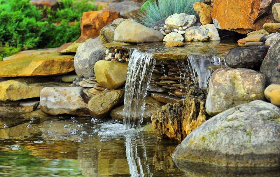 How To Install a Pond Pump - AllPetSolutions