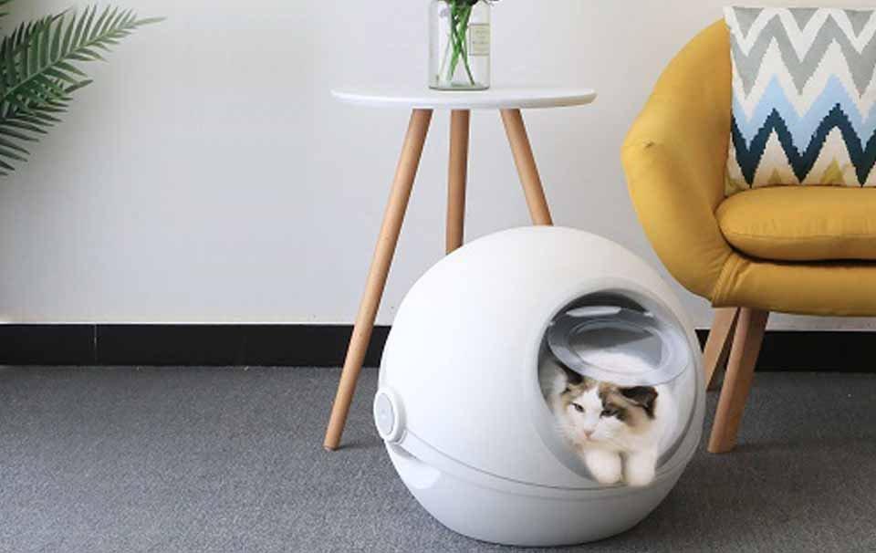 New Pet Product Arrival at AllPetSolutions - Modern Cat Litter Box - AllPetSolutions