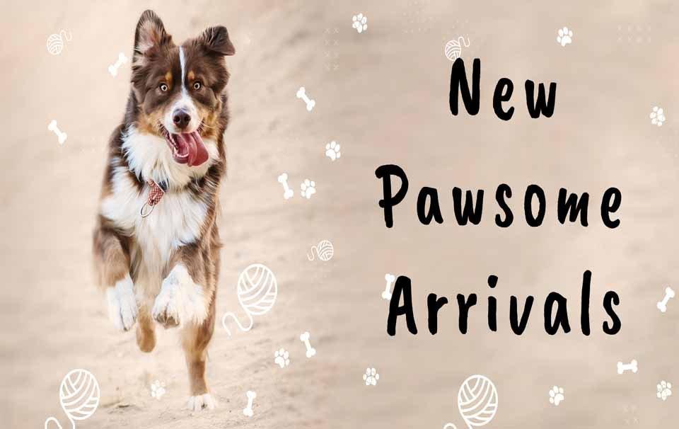 New Pet Product Arrivals at AllPetSolutions - Autumn - AllPetSolutions