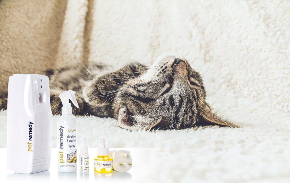 New Pet Remedy Products at AllPetSolutions - AllPetSolutions