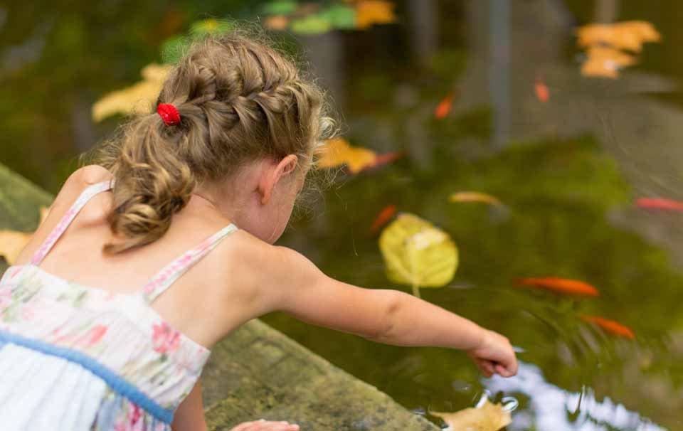 Pond Safety and Fun For Kids - AllPetSolutions