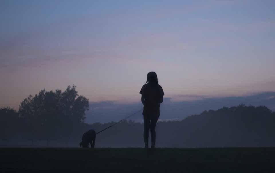 Walking Your Dog Safely at Night - AllPetSolutions