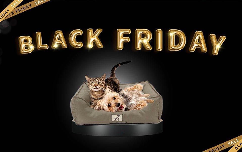 What to Buy From AllPetSolutions This Black Friday 2022? - AllPetSolutions