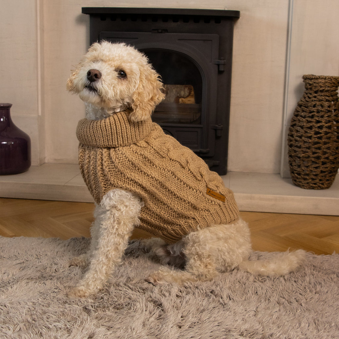 Dog Jumpers - All Pet Solutions