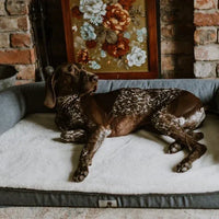 AllPetSolutions Grayson large dog bed waterproof inner cover over the memory foam