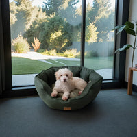 AllPetSolutions Alfie Premium forest green dog bed that is 100% machine washable
