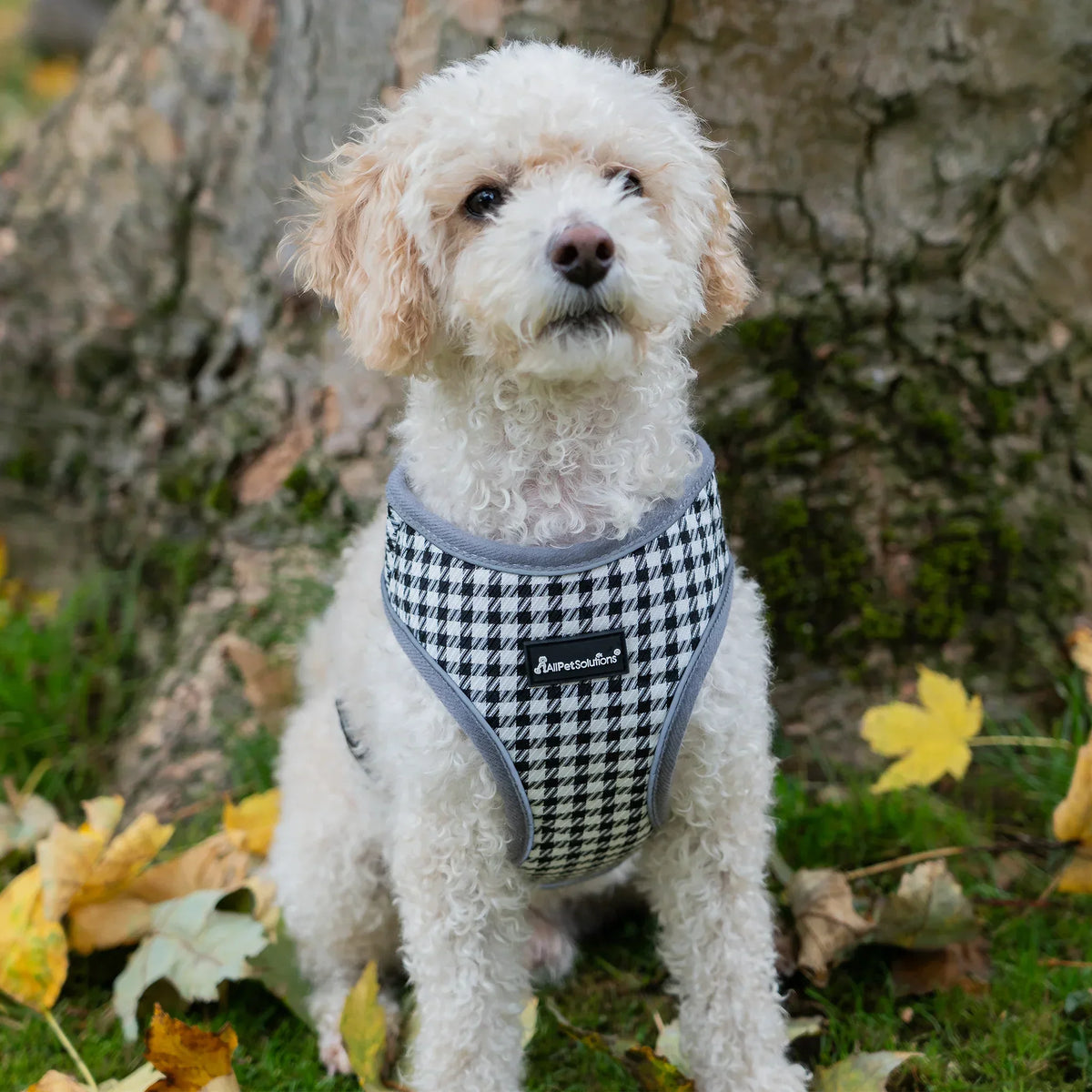 AllPetSolutions dog harness with reflective strip in grey and white check, sizes S and M
