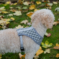 AllPetSolutions grey and white check dog harness worn by a dog