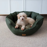 AllPetSolutions Alfie Premium luxury dog bed in forest green with removable soft fleece lining