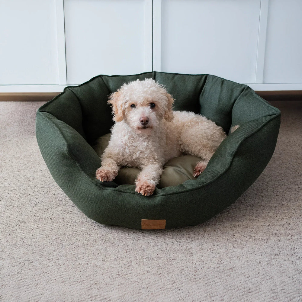 AllPetSolutions Alfie Premium luxury dog bed in forest green with removable soft fleece lining