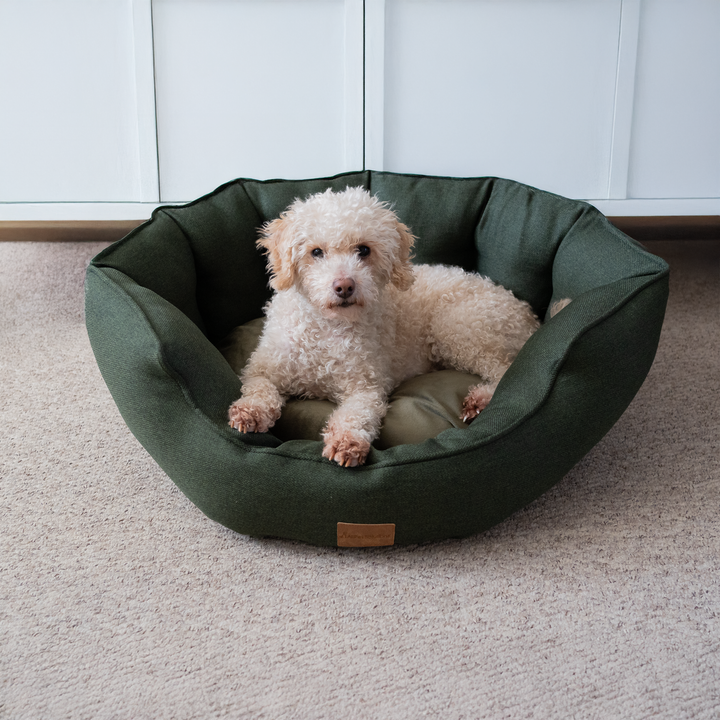 AllPetSolutions Alfie Premium Luxury Dog Bed - Forest Green - S/M/XL