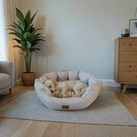 AllPetSolutions Alfie Premium cream dog bed available in small, medium and extra large