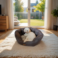 AllPetSolutions Alfie Premium chocolate truffle dog bed that is 100% machine washable
