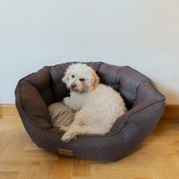 AllPetSolutions Alfie Premium chocolate truffle dog bed filled with recycled polyester fibre