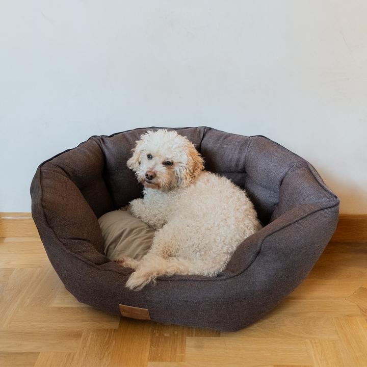 AllPetSolutions Alfie Premium  Luxury Dog Bed - Chocolate Truffle - S/M/XL