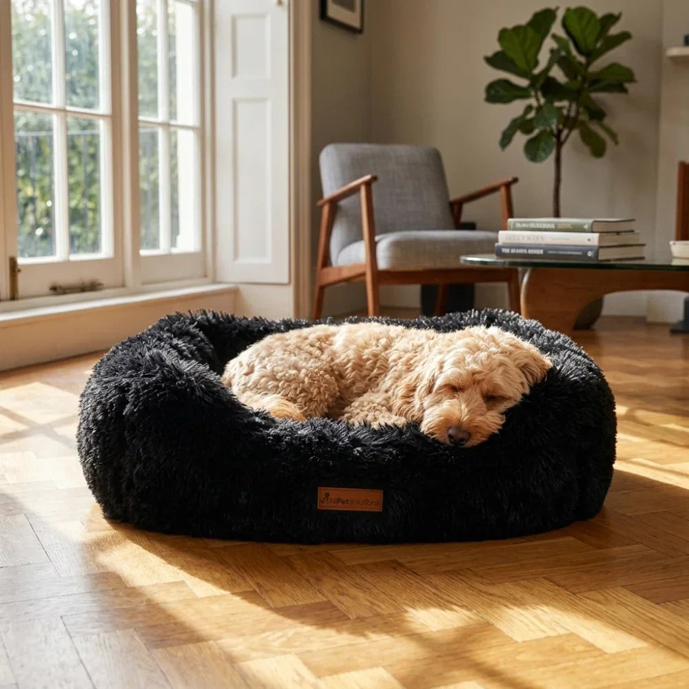 AllPetSolutions luxury charcoal plush dog bed with raised sides, sizes S, M and L