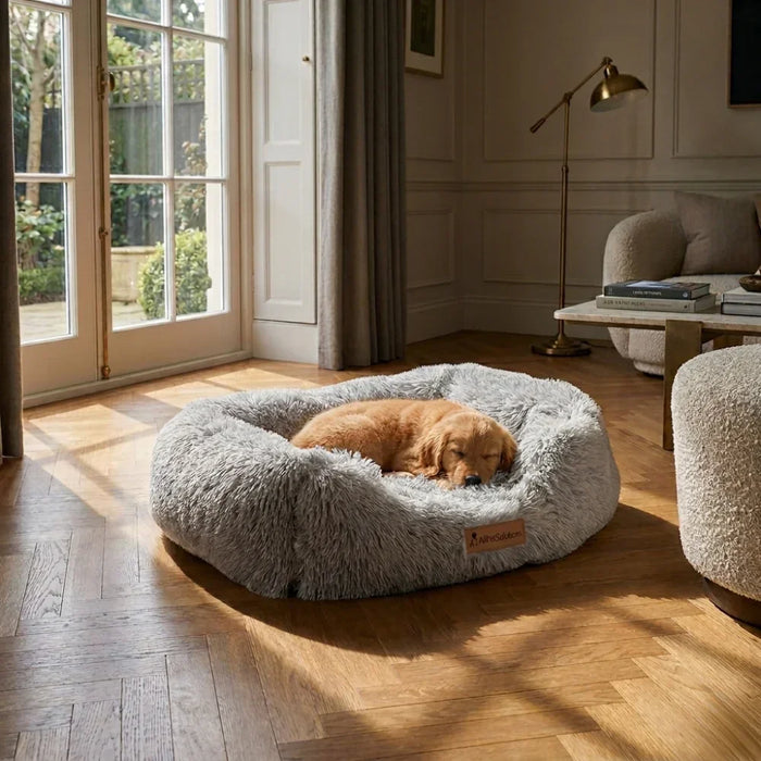 Luxury Plush Box Dog Bed