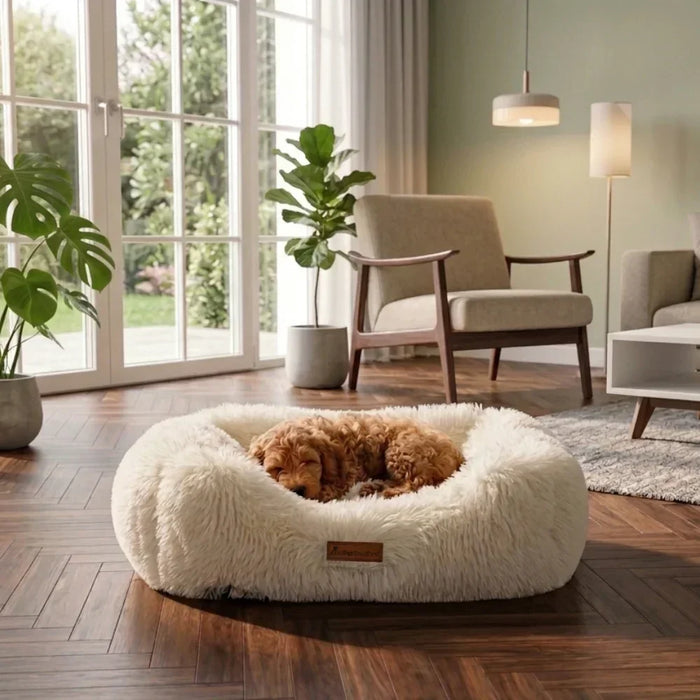 Luxury Plush Box Dog Bed