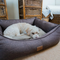 AllPetSolutions Willow Premium dog bed in chocolate truffle with structured high sides