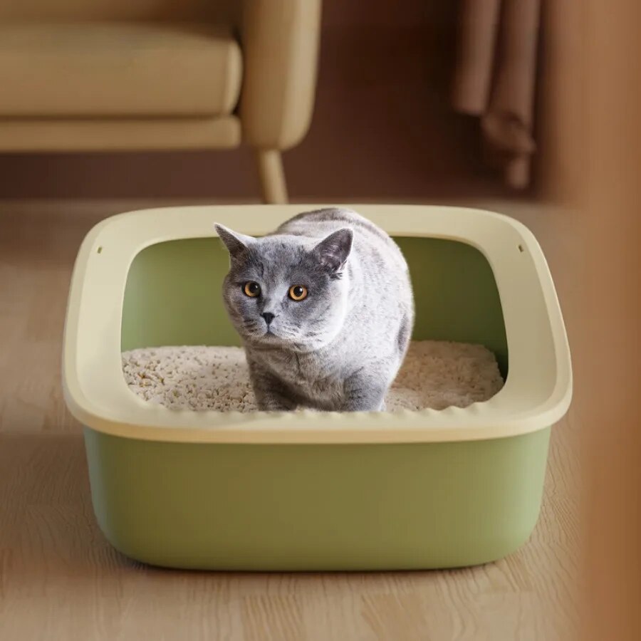 AllPetSolutions Cat Litter Tray with Scoop, Blue