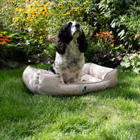 AllPetSolutions Dexter waterproof dog bed in cream, sizes S, M and L