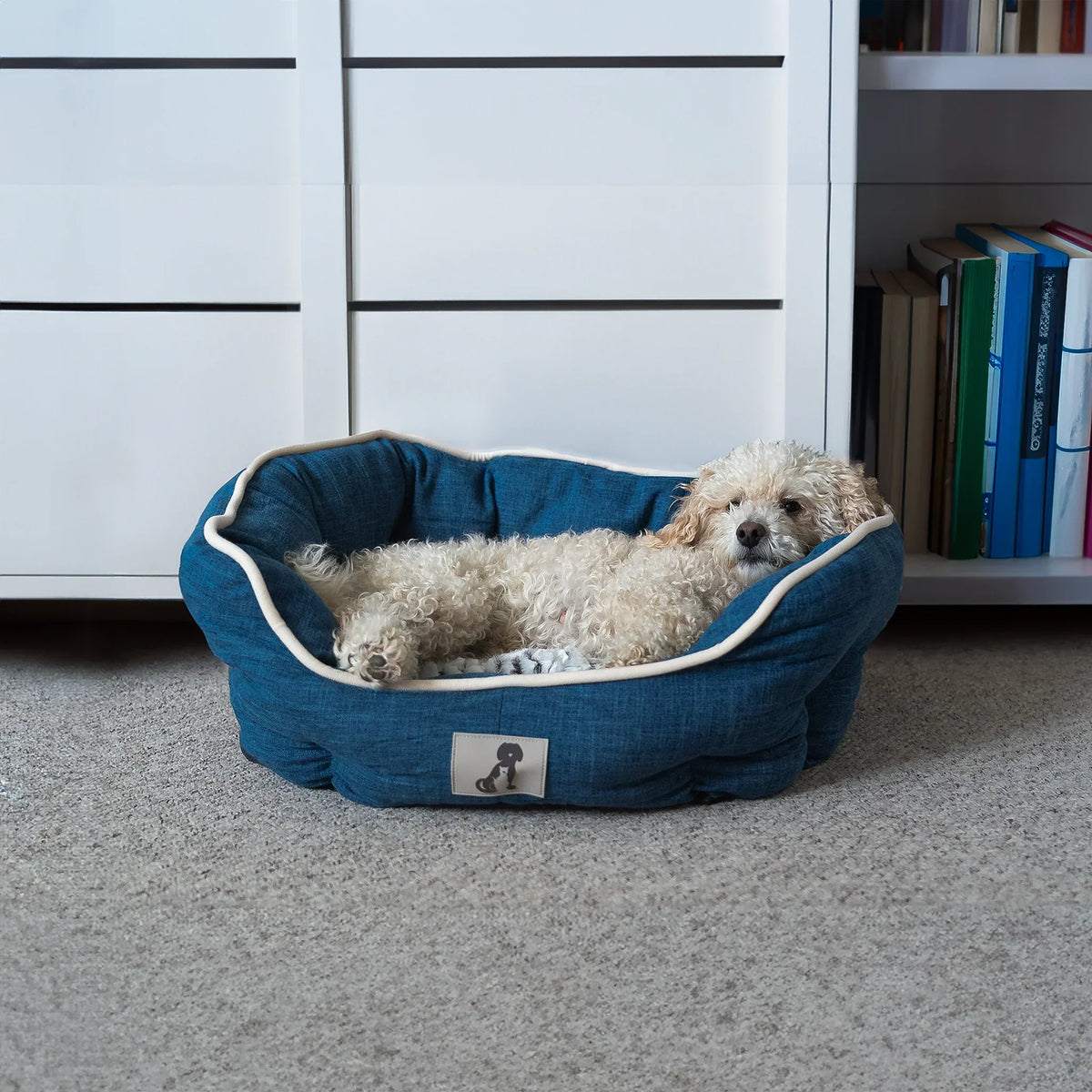 AllPetSolutions Alfie soft dog bed in navy, sizes S, M and L