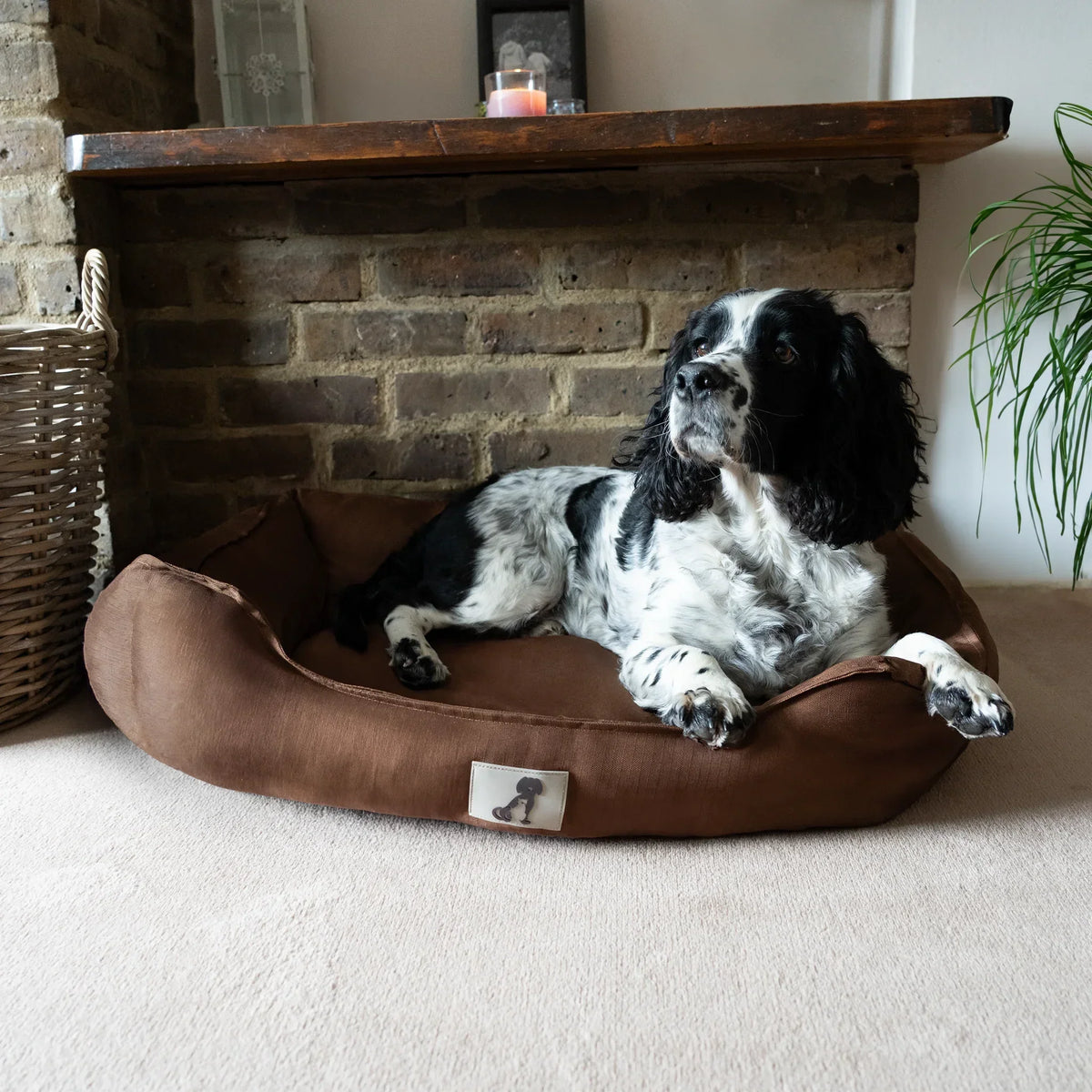 AllPetSolutions Dexter waterproof dog bed in brown, sizes S, M and L