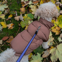 AllPetSolutions brown dog puffer jacket worn by a dog