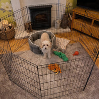 AllPetSolutions exercise playpen for pets standing 30 inches or 75 cm tall