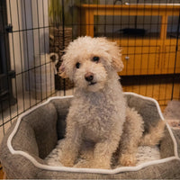 AllPetSolutions 24 inch exercise pen for pets, with each panel standing 61cm high